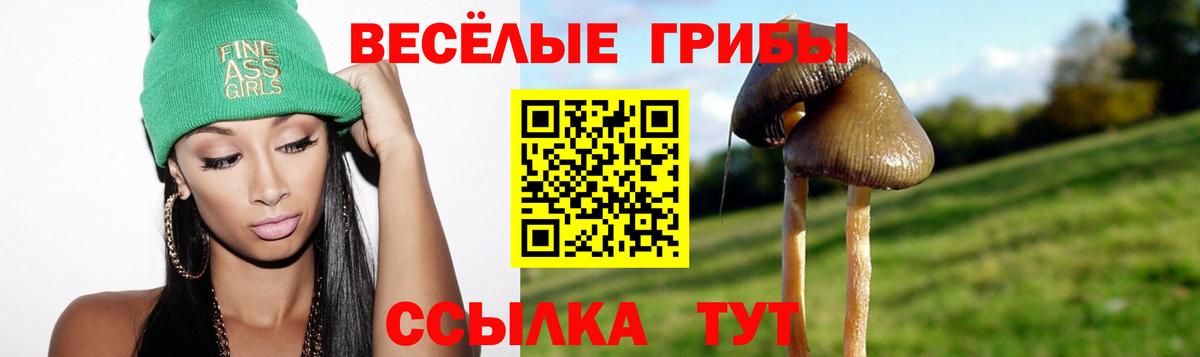 Галлюциногенные грибы прущие грибы  Вход с VPN  Воткинск  Псилоцибиновые грибы MAGIC MUSHROOMS 